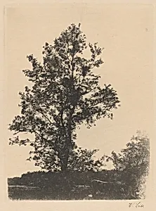 The Large Tree