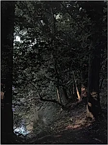 The Last Days of Fontainebleau, #12