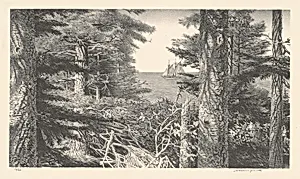 The Lumber Schooner