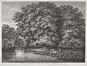 The Mill at the Great Oaks