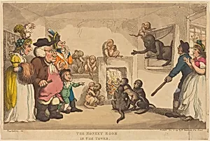 The Monkey Room in the Tower by Thomas Rowlandson