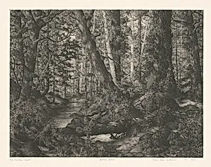 The Northern Shore