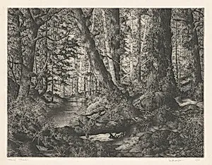 The Northern Shore