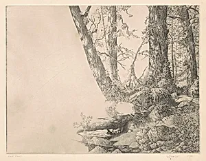 The Northern Shore