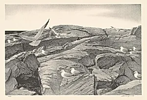 The Outer Shore
