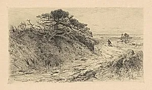 The Path to the Shore