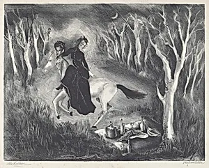The Picnic