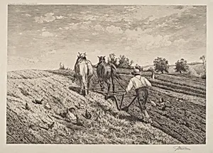 The Ploughman