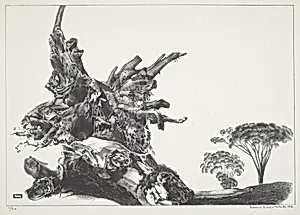 The Quick and the Dead