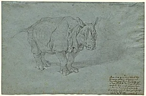 The Rhinoceros "Miss Clara"