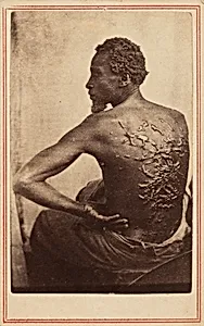 The Scourged Back
