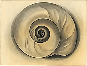 The Shell