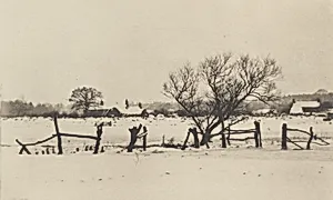 The Snowy Marshlands