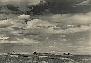 The Steppe: Ukraine