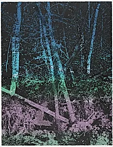 The Sunken Forest from Three Guilty Landscapes