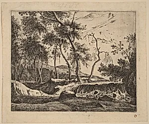 The Waterfall: pl.6
