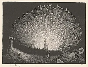 The White Fan