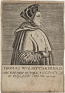 Thomas Wolsey, Cardinal