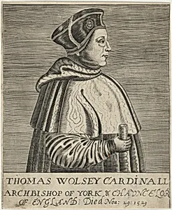 Thomas Wolsey, Cardinal