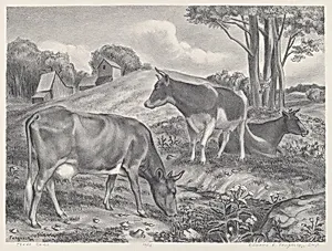 Three Cows