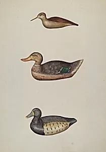 Three Decoy Ducks