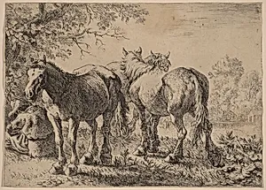 Three Horses in a Field