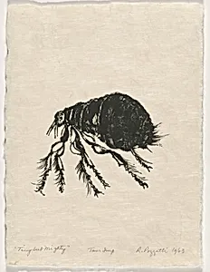 Tiny but Mighty from Bugs