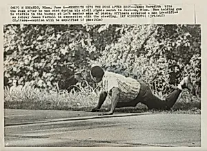 Title from caption on object: “Meredith Hits the Dust after Shot”