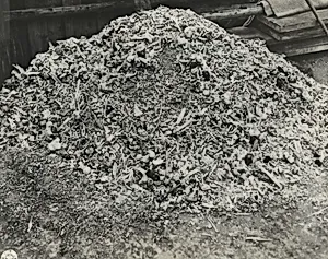 Title from caption on object: “One Day's Work”