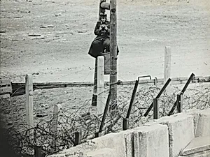 Title from caption on object: “Red Perch”