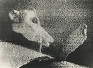 Title from caption on object: “Takes Walk in Space”