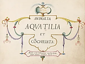 Title Page by Joris Hoefnagel