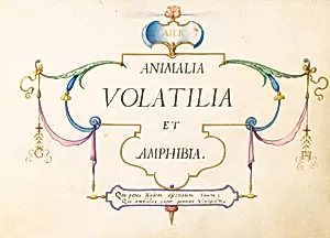 Title Page by Joris Hoefnagel