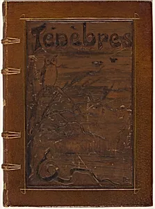 Ténèbres (Darkness) by Odilon Redon (artist), Iwan Gilkin (author)