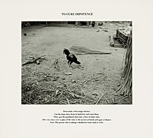 To Cure Impotence, Grande Sertão Veredas National Park, Brazil