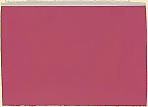 (to Don Judd, colorist) 1