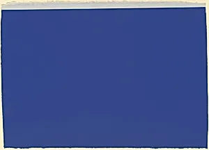 (to Don Judd, colorist) 5