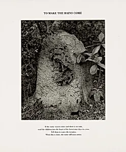 To Make the Rains Come, Grande Sertão Veredas National Park, Brazil