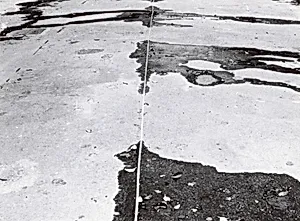 Tokyo Trickle