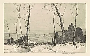 Tollhouse Road