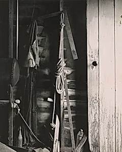 Tool Shed Doorway
