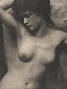 Torso