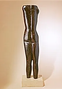 Torso
