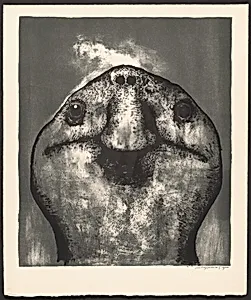 Tortoise Head