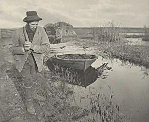 Towing the Reed