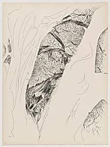 Tree Opening from Of Nature, Of Man