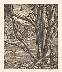 Tree Rhythm