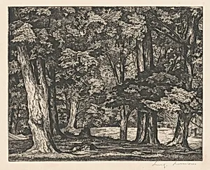 Tree Tapestry