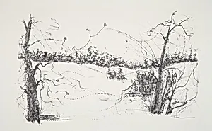Trees and Fields