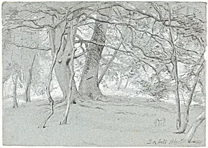 Trees at Box Hill